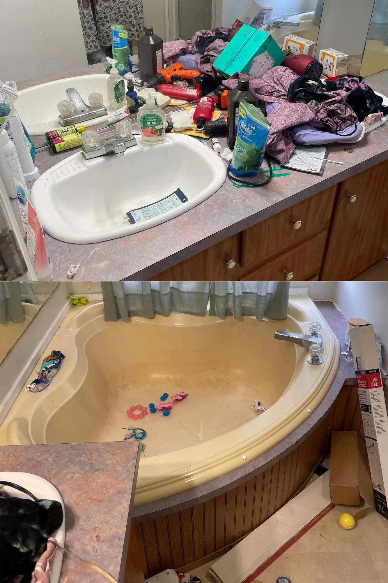 Before: Bathroom to master bath refresh